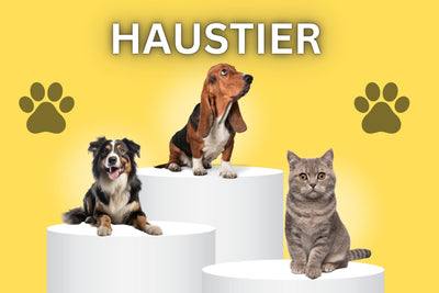 Haustier